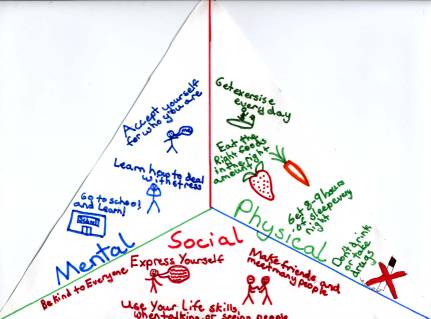 The Health Triangle: Understanding the Complete Wellness Framework