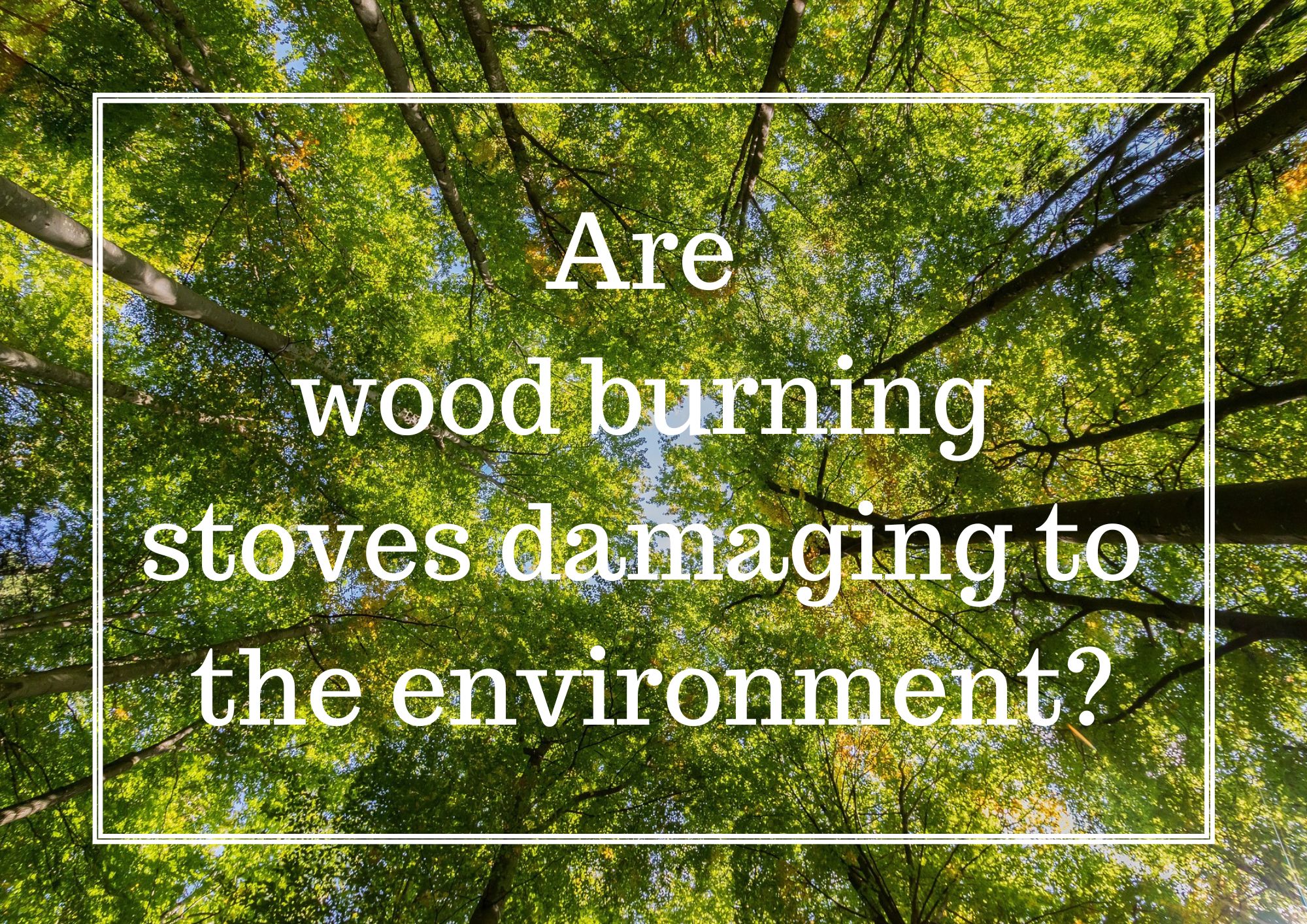 Cardboard Burning: Environmental Impact and Alternatives