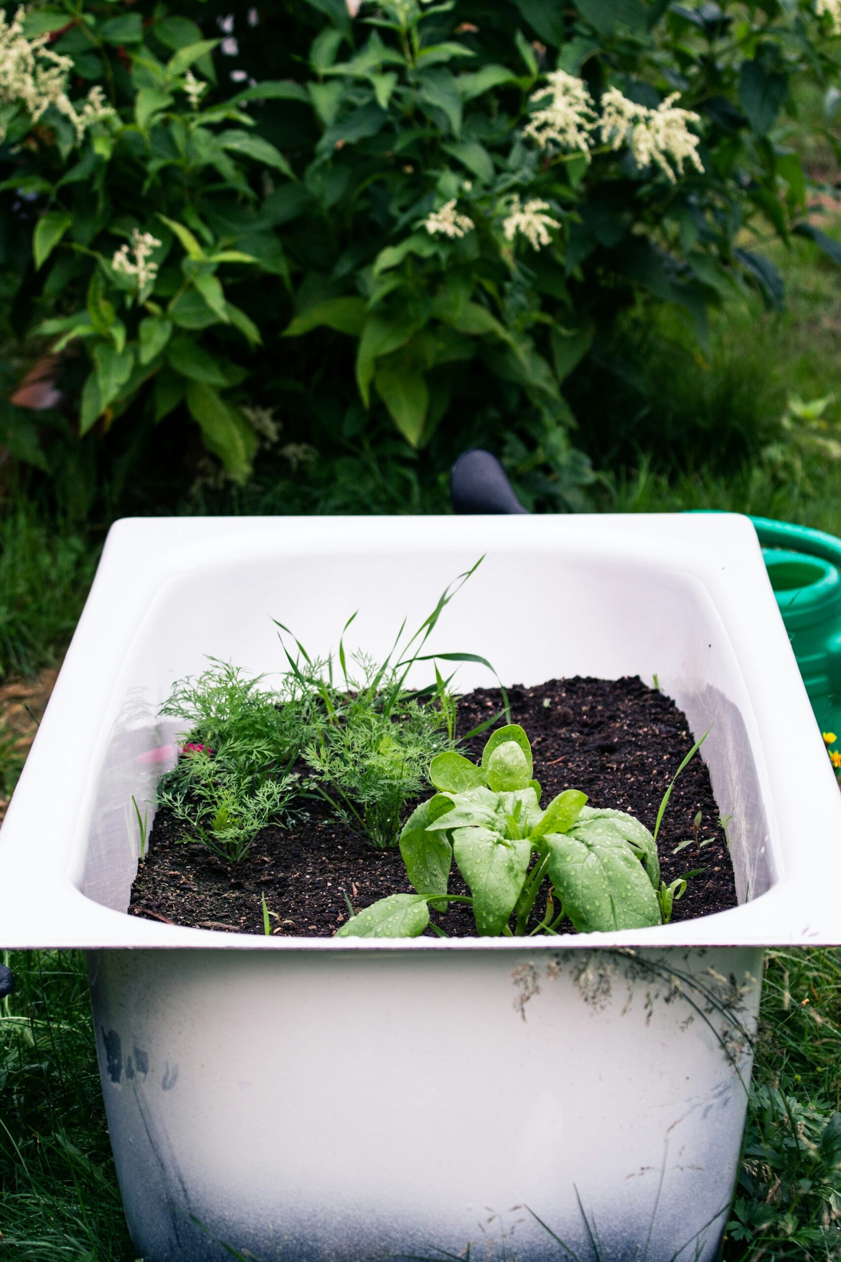 Minimalist Small-Space Container Gardening: Grow More with Less