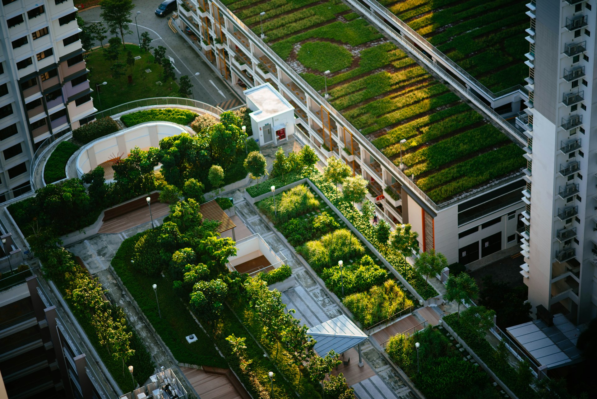 Transform Your Urban Rooftop Into a Thriving Edible Garden Oasis