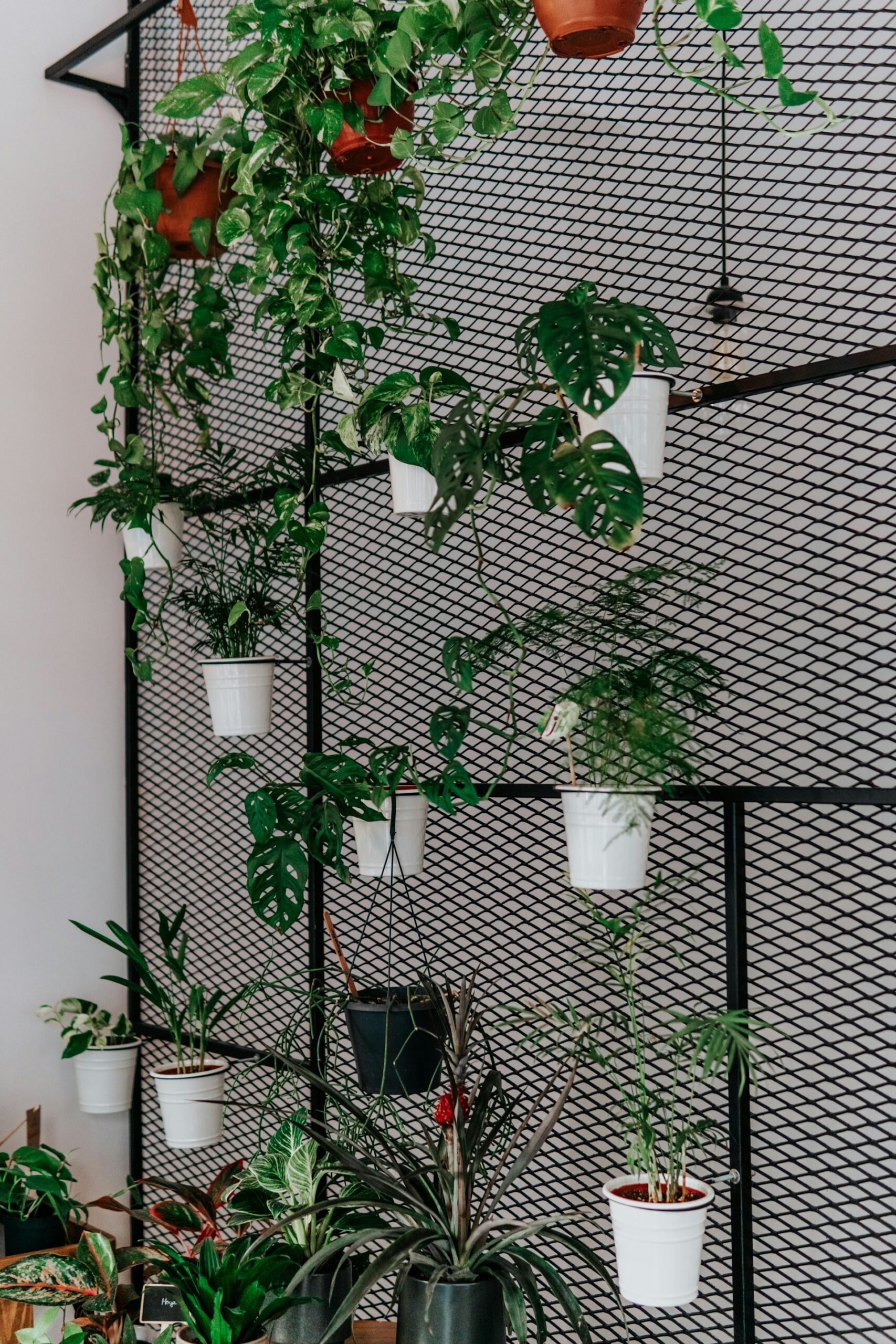 Maximizing Yields: The Ultimate Guide to Small Space Indoor Vertical Farm Design