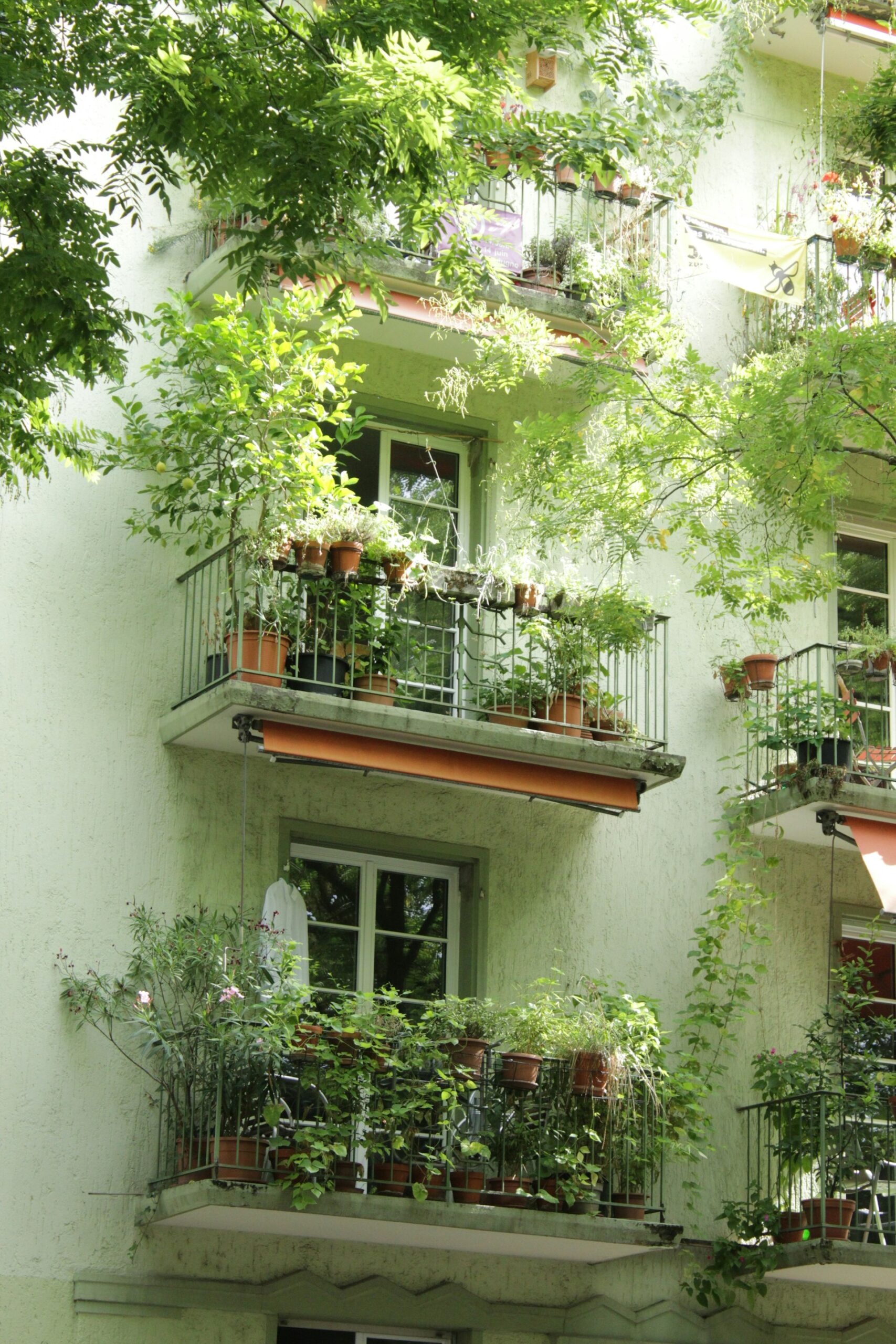 Maximize Green Living: The Ultimate Guide to Urban Gardening for Apartment Dwellers