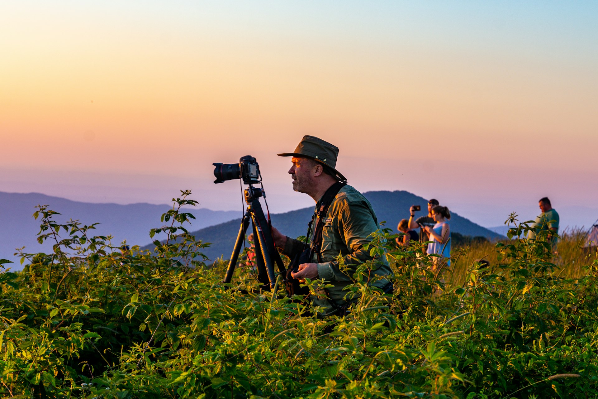 Unlocking Career Opportunities in Sustainable Tourism: Paths, Skills, and Real-World Guidance