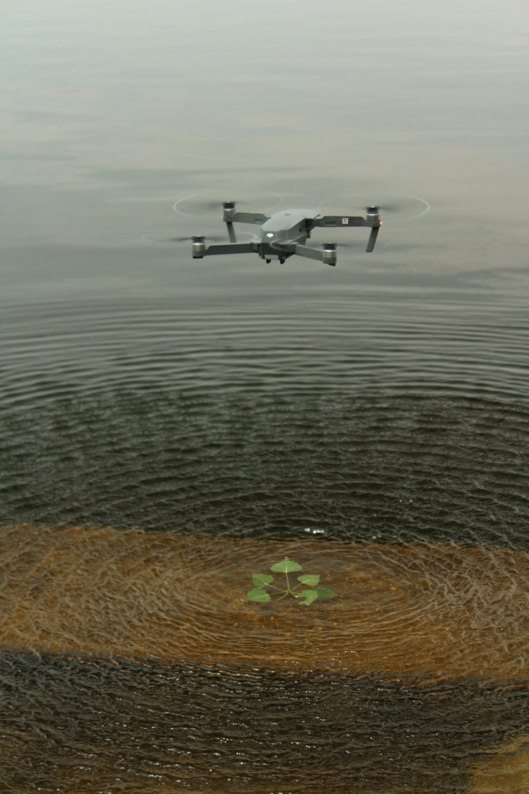 Harnessing Drones for Advanced Environmental Monitoring: Applications, Benefits, and Implementation Strategies